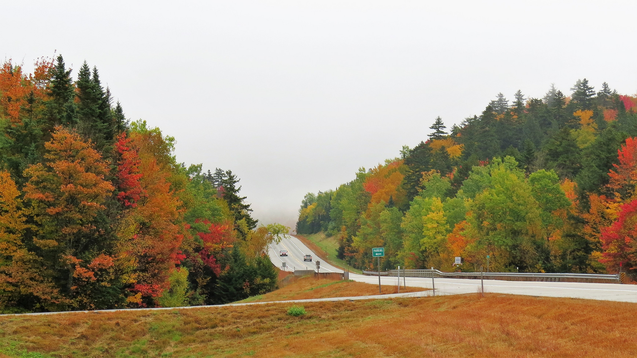 FoliagePhoto