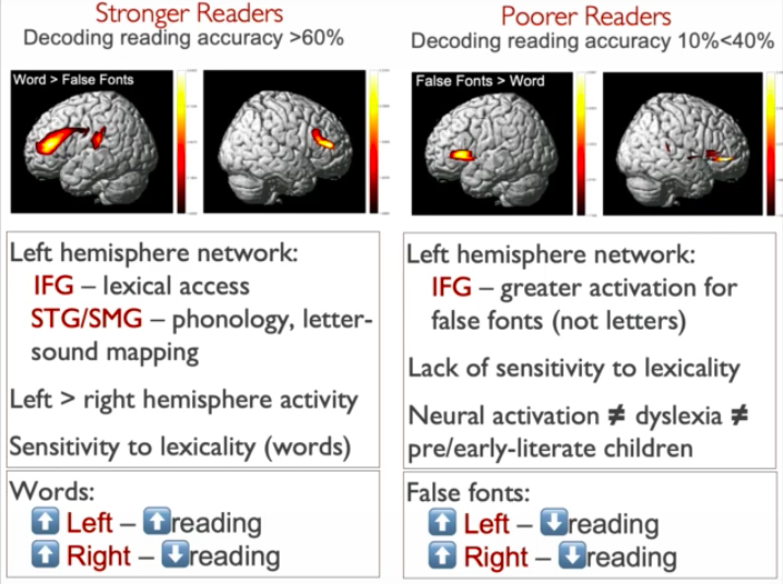 Global Child Neurodevelopment